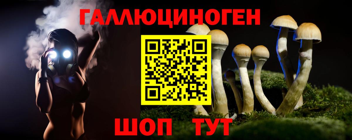 Псилоцибиновые грибы GOLDEN TEACHER  Вход с VPN  Галлюциногенные грибы GOLDEN TEACHER  Десногорск 